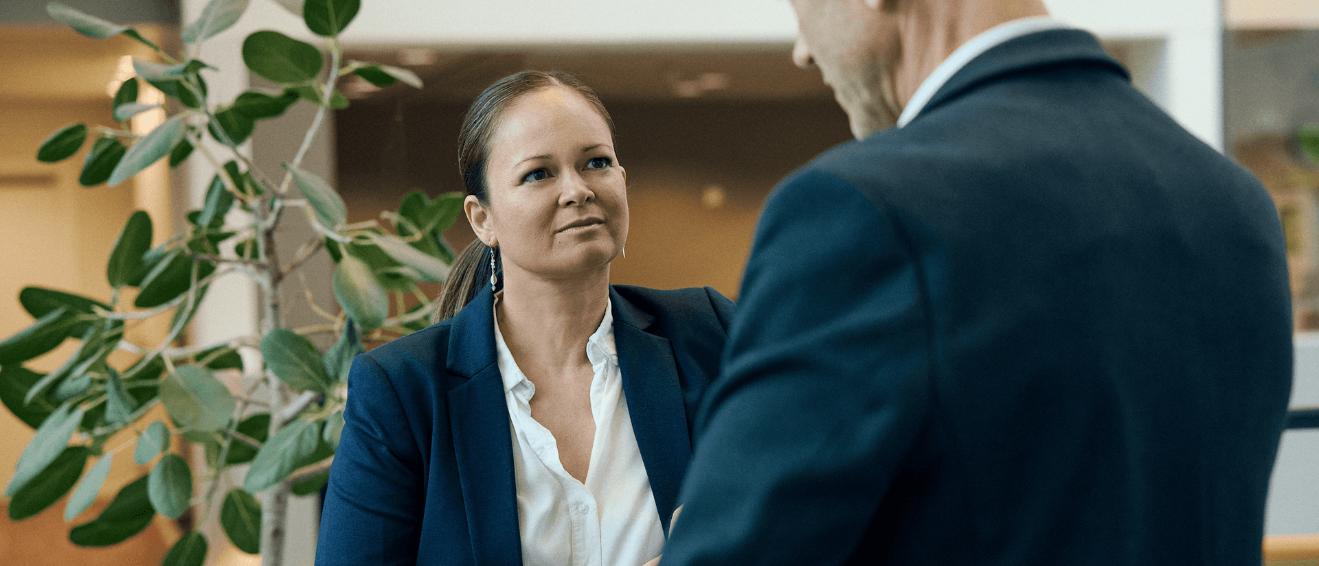 IT and Business Consultants