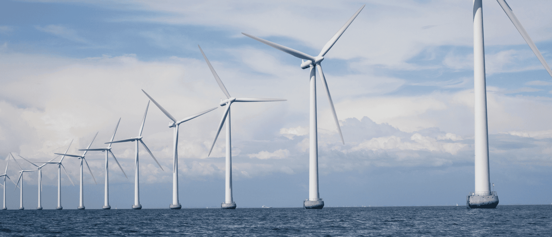 IT consultants for the energy sector